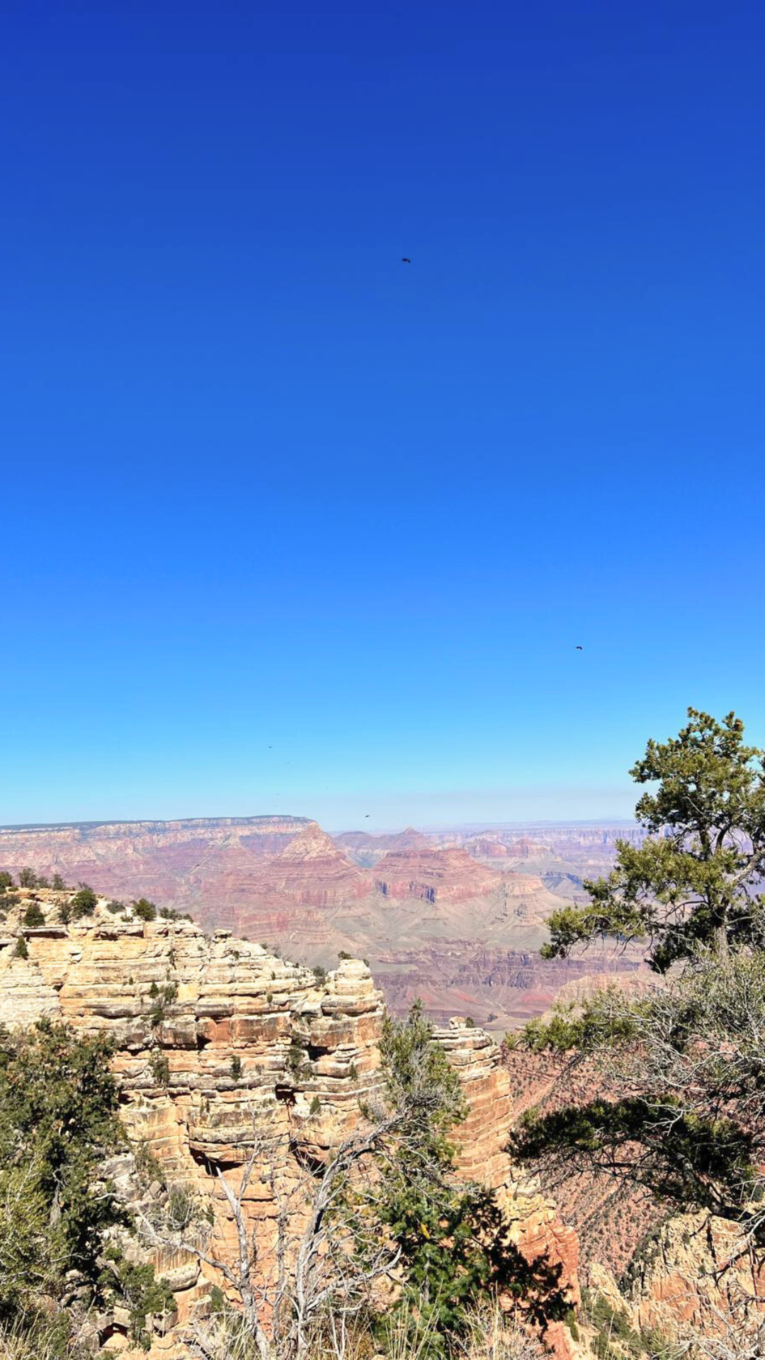 horizonte sedona